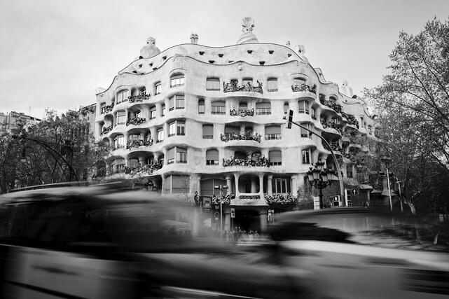 Black &amp; White Moment Collection